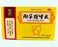 桐岭堂附子理中丸价格对比 6丸