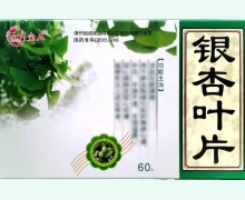 宝隆宝正银杏叶片价格对比 河北晨光