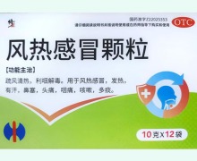 修正风热感冒颗粒价格对比 12袋