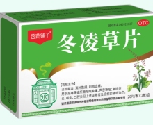 丞药铺子冬凌草片价格对比