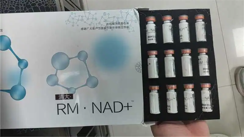 RM NAD 水解蛋黄粉裸藻固体饮品