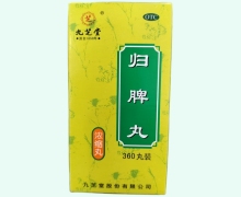 九芝堂归脾丸(浓缩丸)价格对比 360丸装