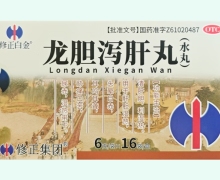 修正白金龙胆泻肝丸价格对比 16袋
