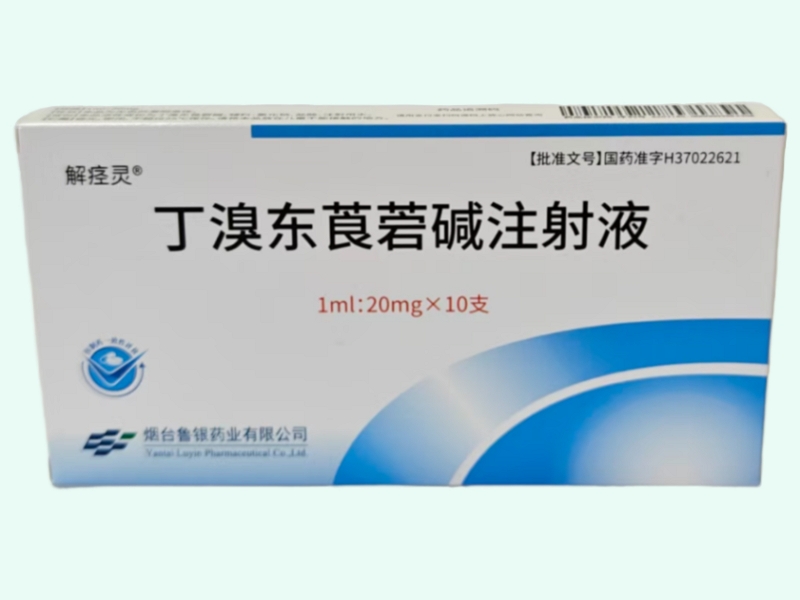 丁溴东莨菪碱注射液