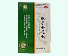 金弦宁栀子金花丸价格对比 9袋