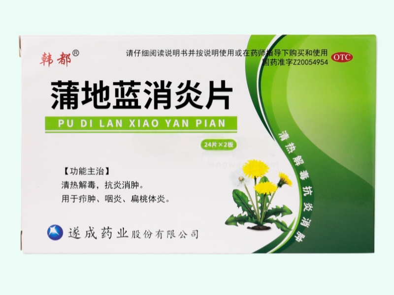 蒲地蓝消炎片