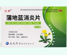 蒲地蓝消炎片价格对比 48片 韩都