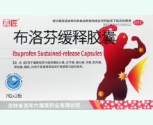真匠布洛芬缓释胶囊价格对比 14粒