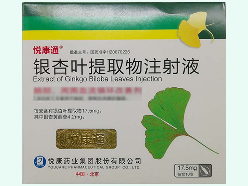 银杏叶提取物注射液