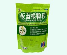 修正板蓝根颗粒价格对比 22袋 九真堂制药