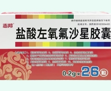 志邦盐酸左氧氟沙星胶囊价格对比 26粒
