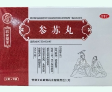 岐黄药业参苏丸价格对比 9袋