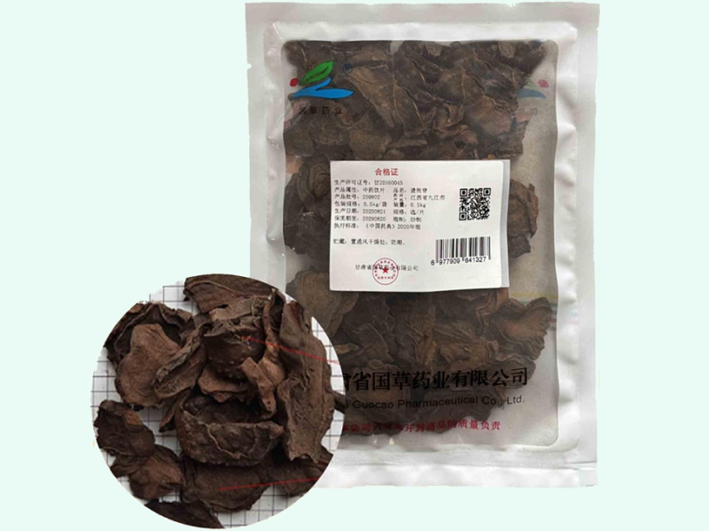 烫狗脊