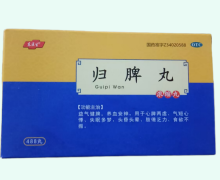 东医生归脾丸价格对比 488丸 广生药业
