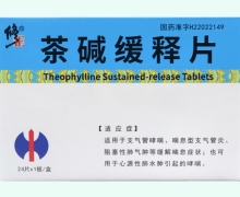 修正茶碱缓释片价格对比