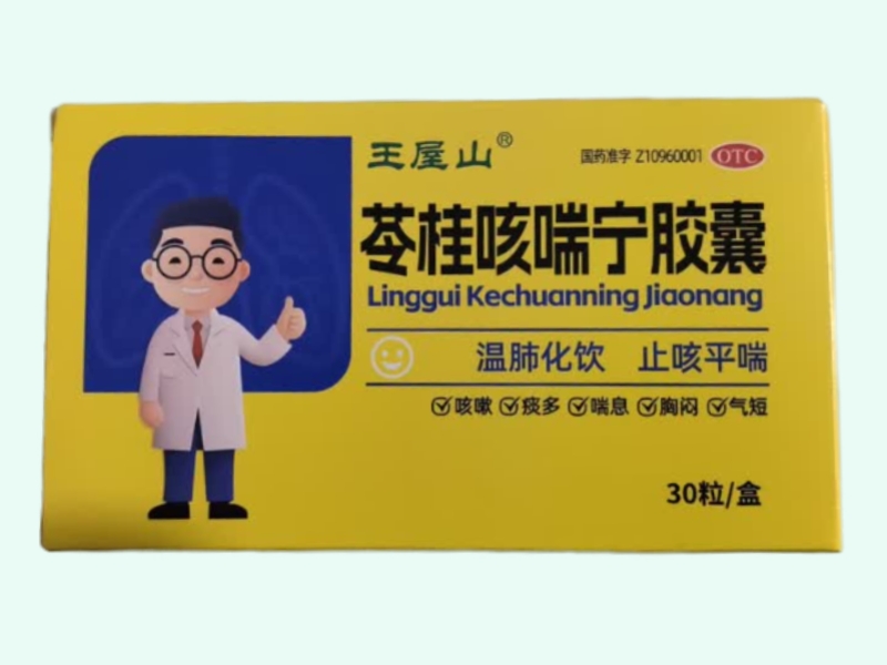 苓桂咳喘宁胶囊