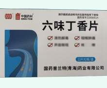 六味丁香片价格对比 24片 同济堂