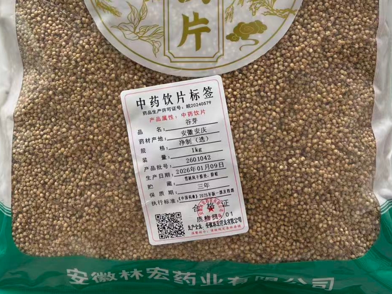 谷芽
