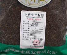沙苑子价格对比 安徽林宏药业