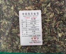 络石藤价格对比 安徽林宏