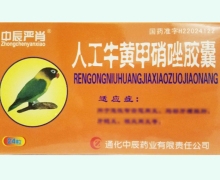 中辰严肖人工牛黄甲硝唑胶囊价格对比 24粒