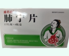 盛药师肺宁片价格对比