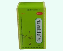 中惠美藿香正气片价格对比 120片