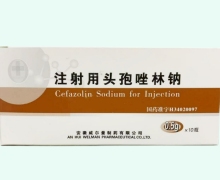 注射用头孢唑林钠价格对比 0.5g*10瓶 安徽威尔曼