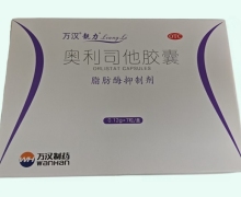 靓力奥利司他胶囊价格对比 7粒 脂肪酶抑制剂