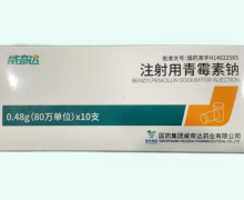 威奇达注射用青霉素钠价格对比 80万单位*10支