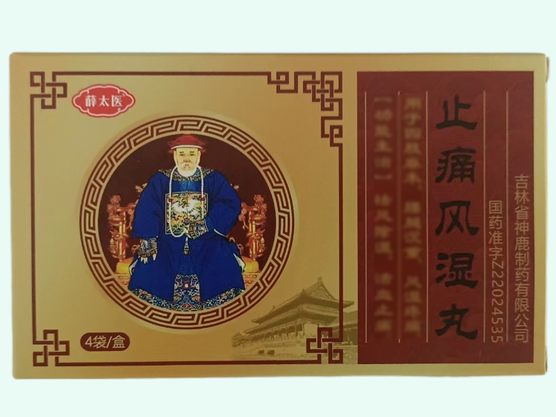 止痛风湿丸