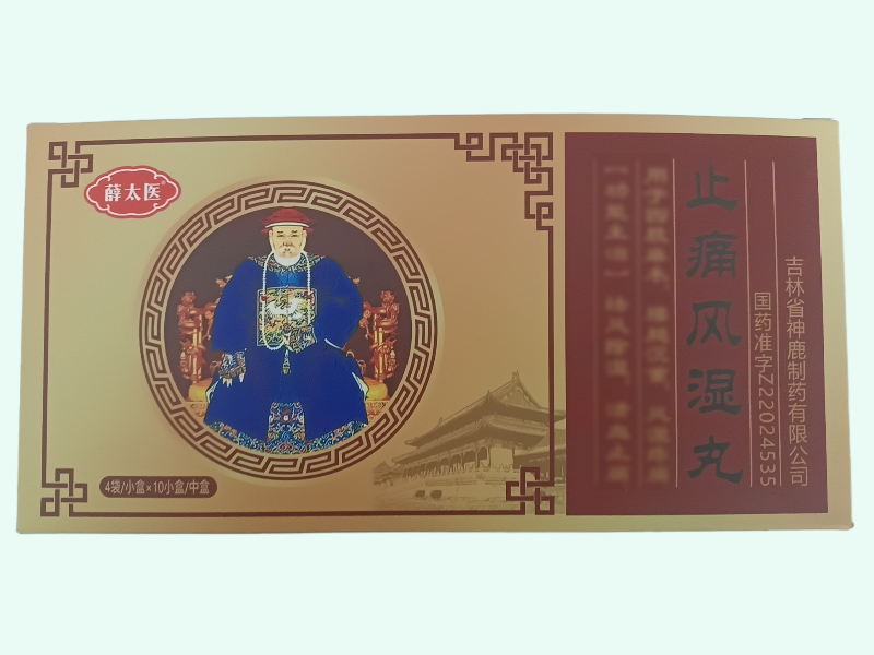 止痛风湿丸