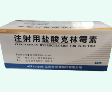 注射用盐酸克林霉素价格 0.6g*10瓶 江苏大同盟