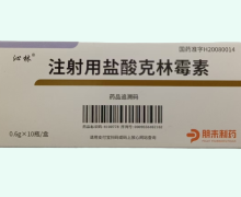 沁林注射用盐酸克林霉素价格对比 0.6g*10瓶
