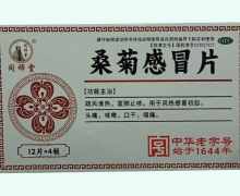 同师堂桑菊感冒片价格对比 48片