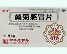 鼎克桑菊感冒片价格对比 36片