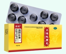 亦河六味地黄丸价格对比 9丸