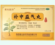 紫光辰济补中益气丸价格对比 12袋