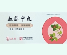 血脂宁丸价格对比 10丸 达仁堂