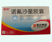 诺氟沙星胶囊价格对比 20粒 哈药制药总厂