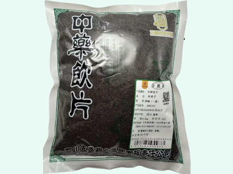 车前子