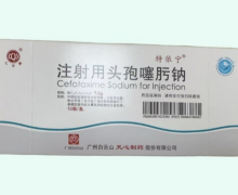 心字牌注射用头孢噻肟钠价格对比 1g*10瓶 特依宁