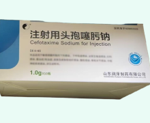 注射用头孢噻肟钠价格对比 山东润泽制药 1g*10支