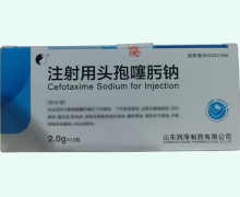 注射用头孢噻肟钠价格对比 2g*10瓶 润泽制药