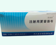 注射用更昔洛韦价格对比 0.25g*10瓶 普更新