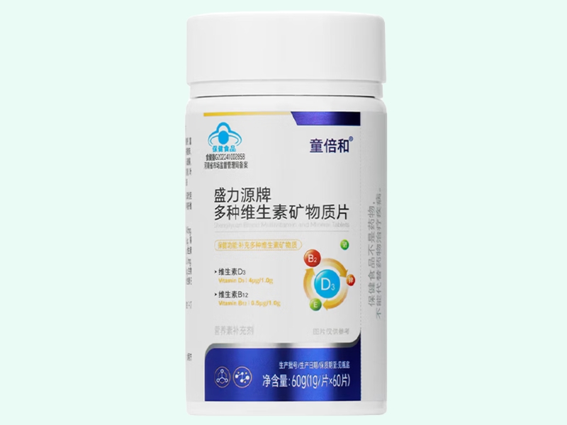 盛力源牌多种维生素矿物质片