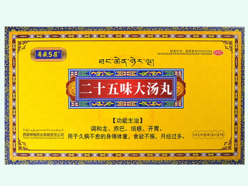 二十五味大汤丸