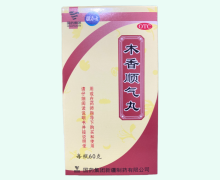 国药集团木香顺气丸价格对比