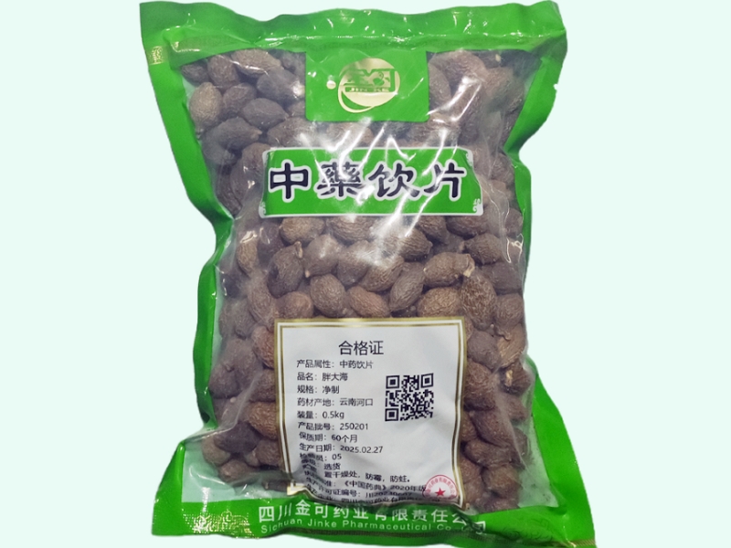 金可胖大海