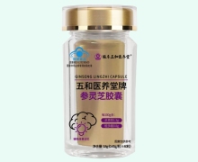 五和医养堂牌参灵芝胶囊价格对比 40粒